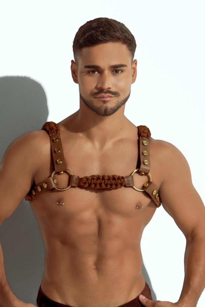 Harness Cafe Salvaje