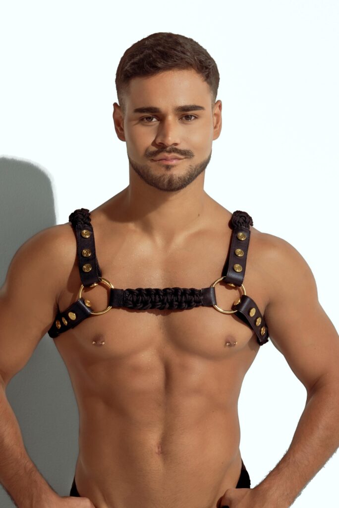 Harness Intenso Black